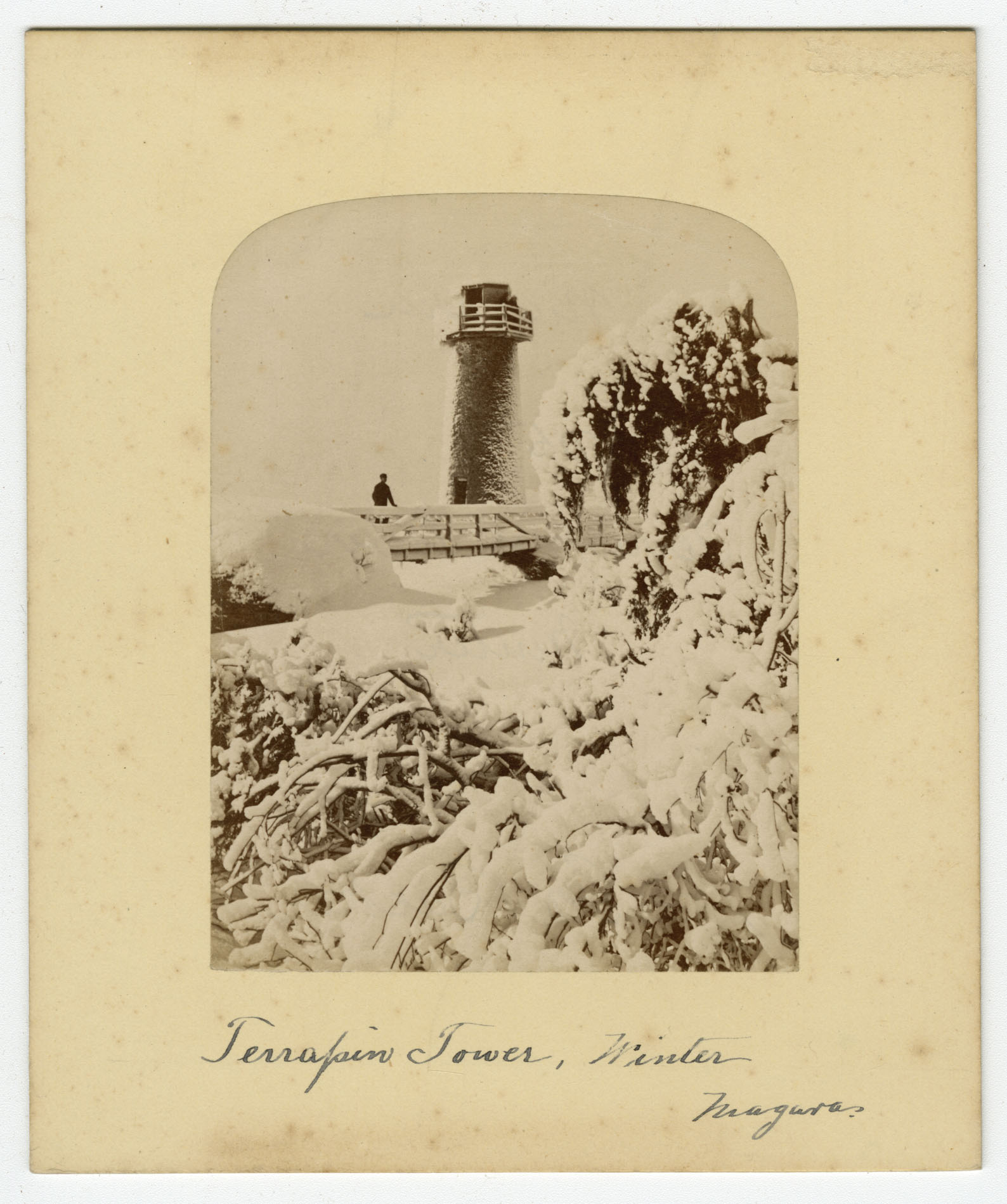 Terrapin Tower Winter